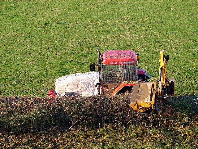 tractor harvesting hazelnuts