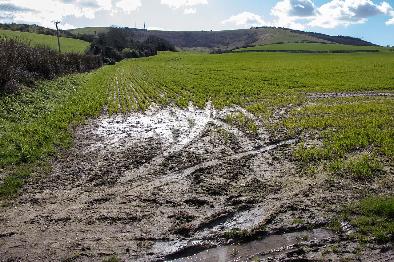 Terreno agrícola encharcado con agua estancada — desfavorable para el avellano