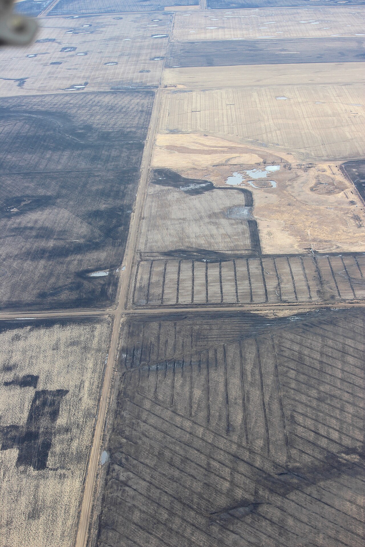 Vista aérea de campos donde se observa el patrón regular de drenaje subterráneo (tuberías) instalado