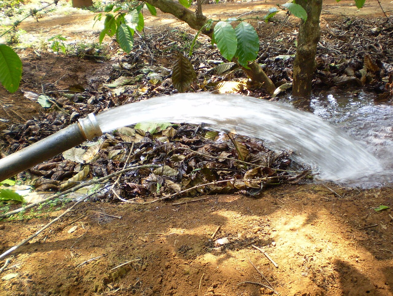 Manguera de riego regando el suelo
