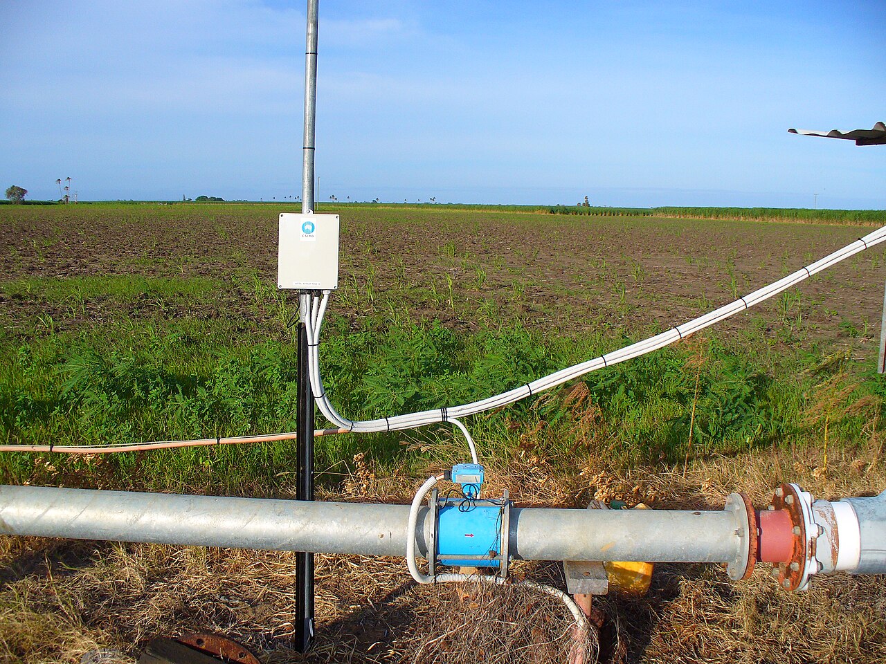 Tubería de riego y sensor en el campo