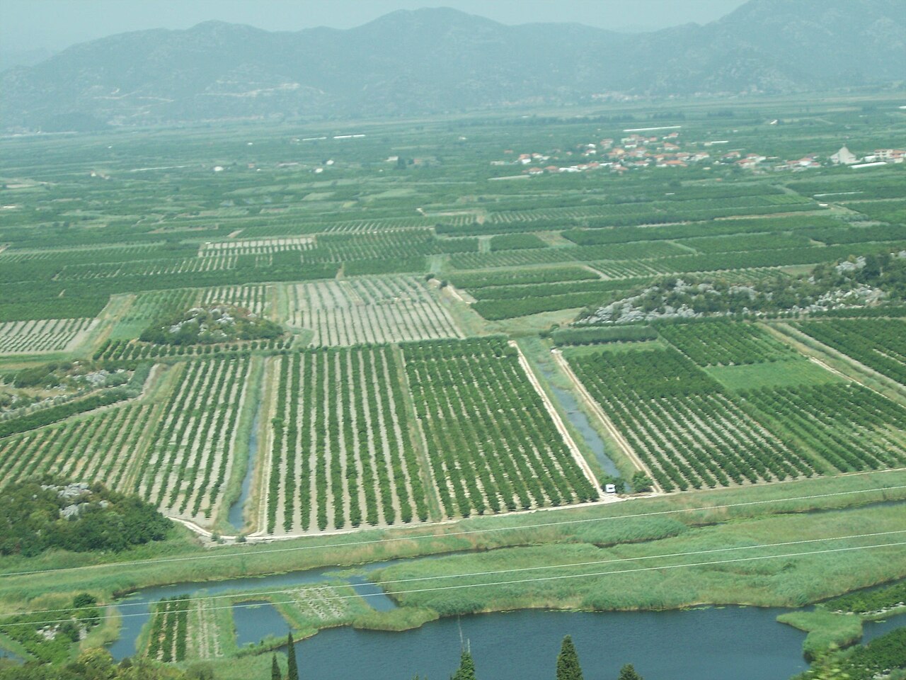 Vista aérea de plantaciones de avellanos