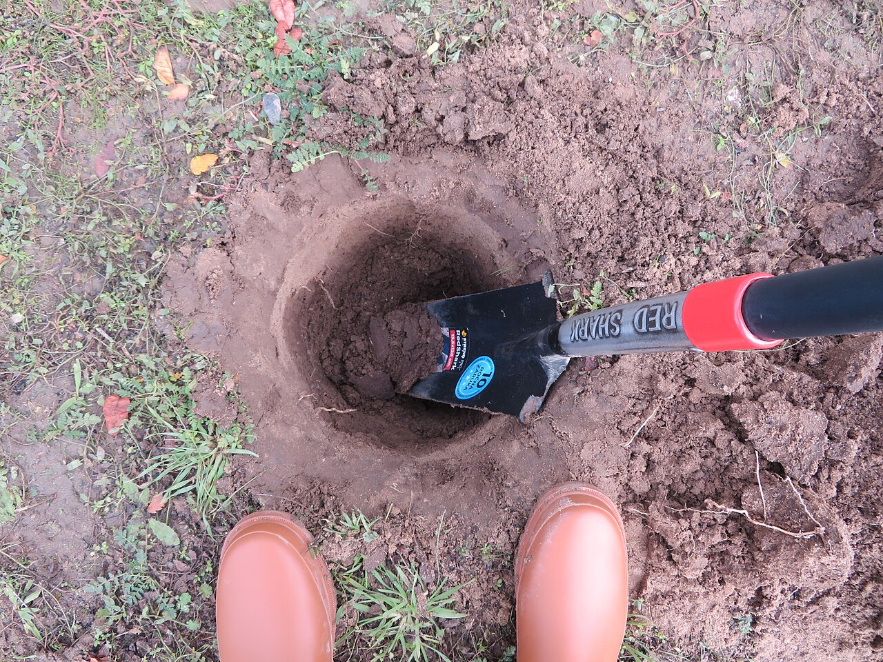 Hoyo de plantación excavado con drenaje en el suelo