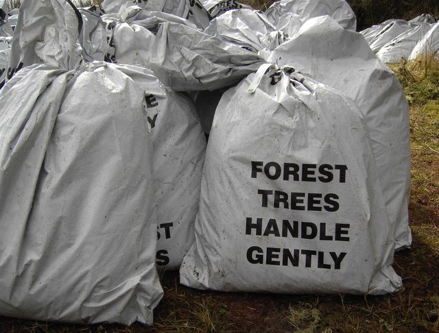 Bags of forest tree seedlings