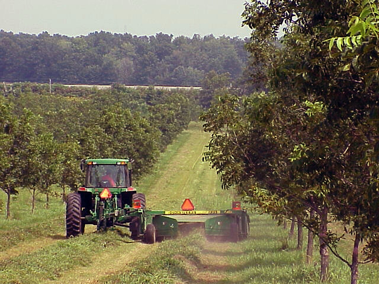 tractor siegando hileras de huerto