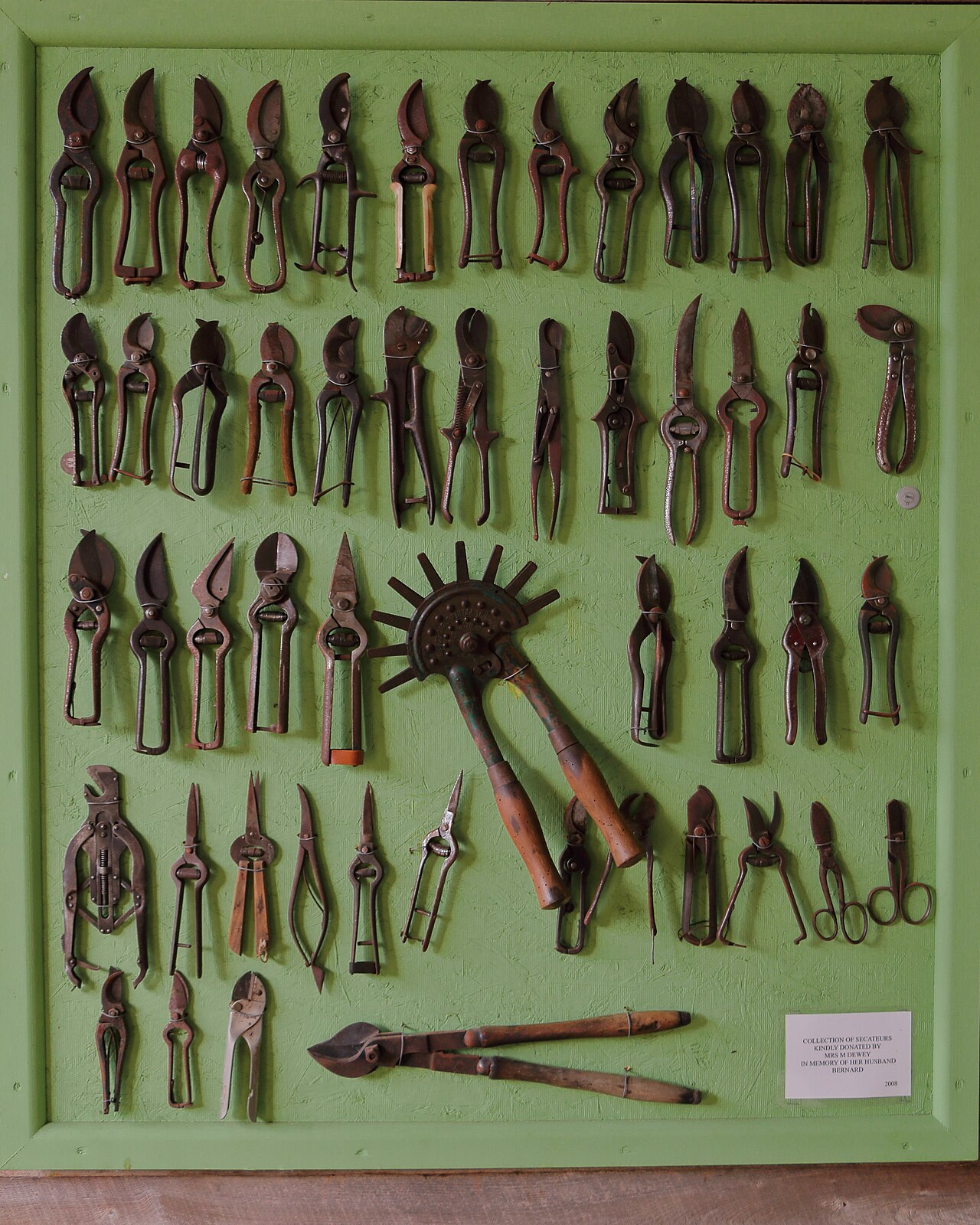 Tijeras de podar (secateurs) para la eliminación manual de brotes