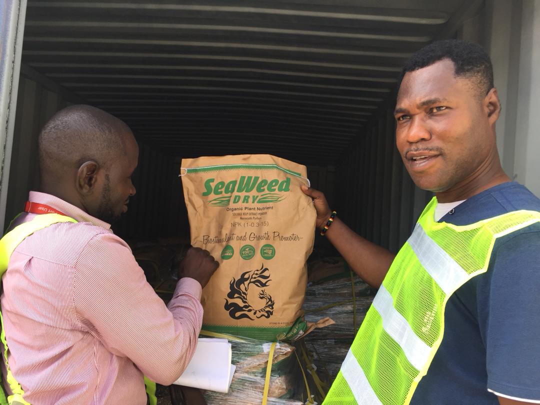 Trabajadores manipulando bolsa de nutriente vegetal orgánico