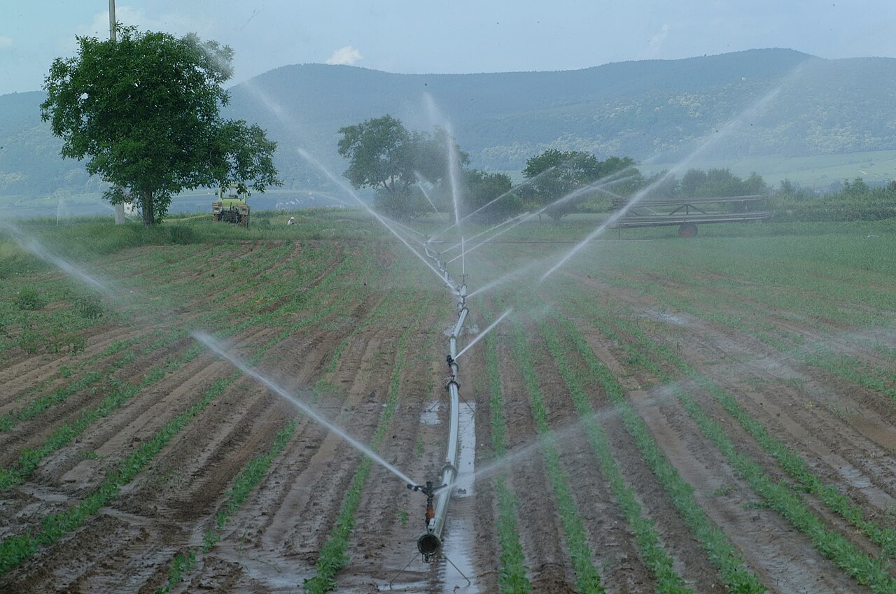 sistema de riego en el campo