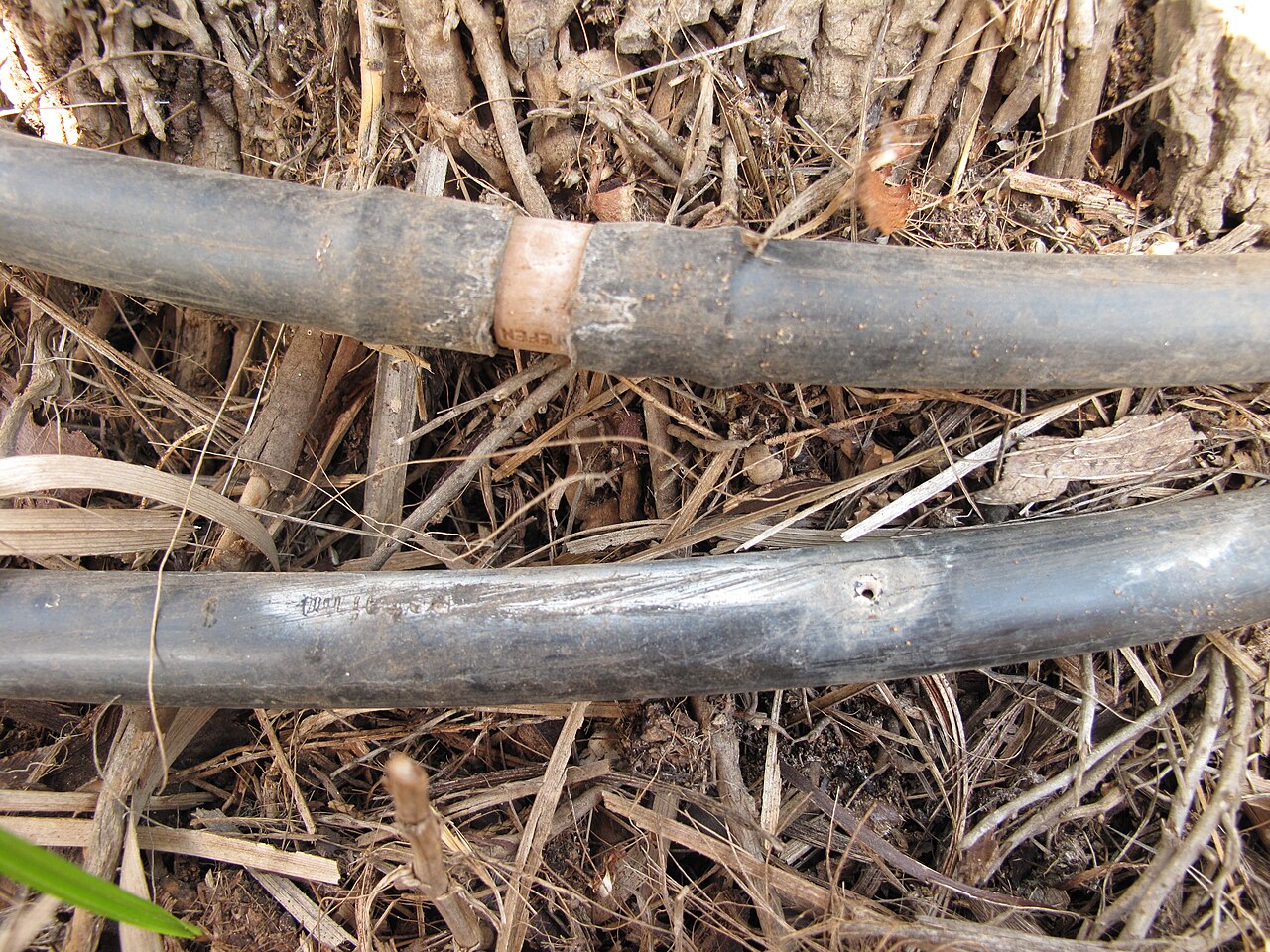 tuberías de riego por goteo en el huerto