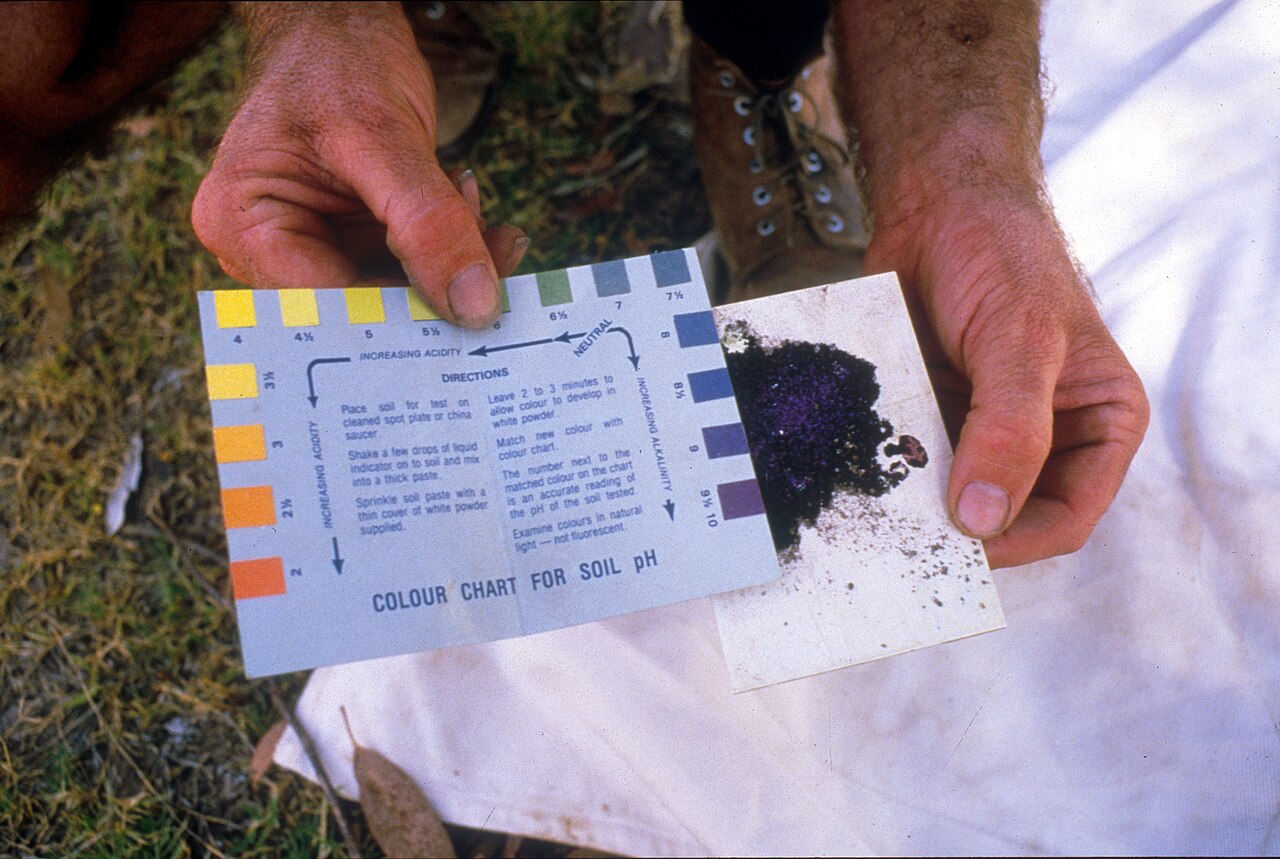 Determinación del valor de pH del suelo — un pH bajo reduce drásticamente la absorción de nitrógeno y potasio