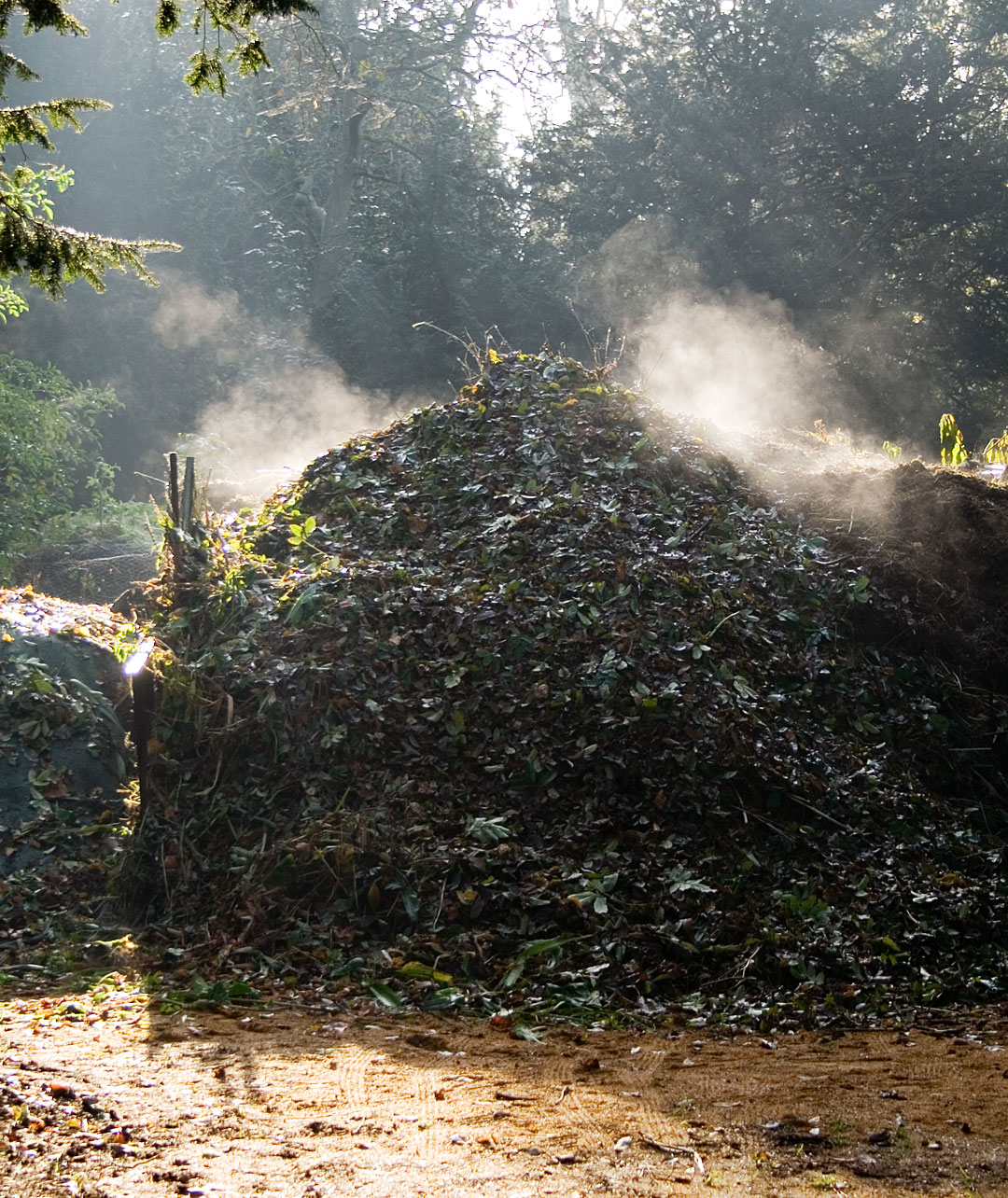 Pila de compost maduro