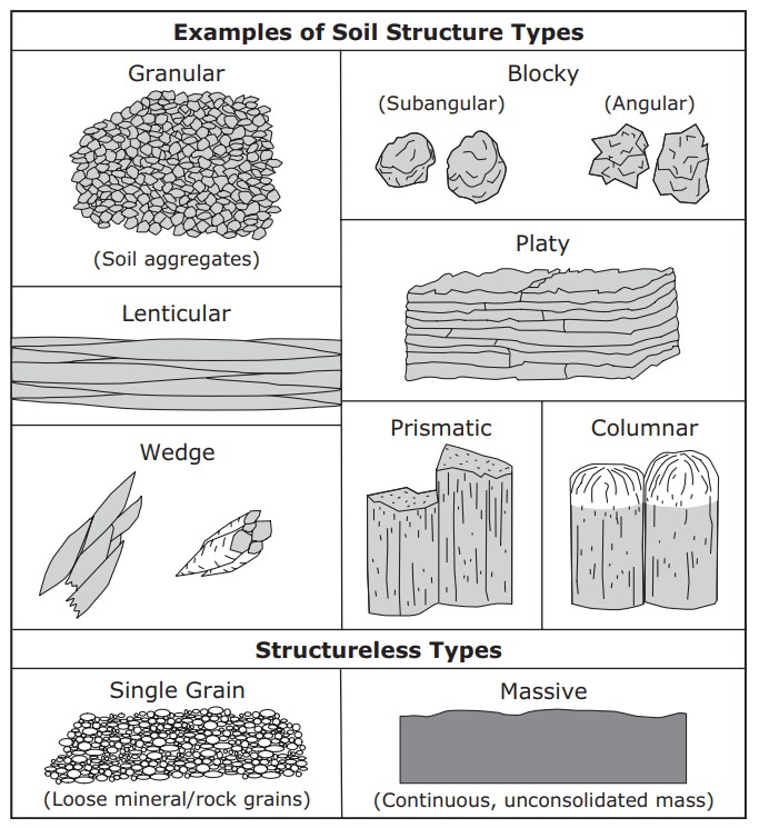 Tipos de estructura del suelo — la estructura del suelo afecta la disponibilidad de nutrientes y la reacción (pH)