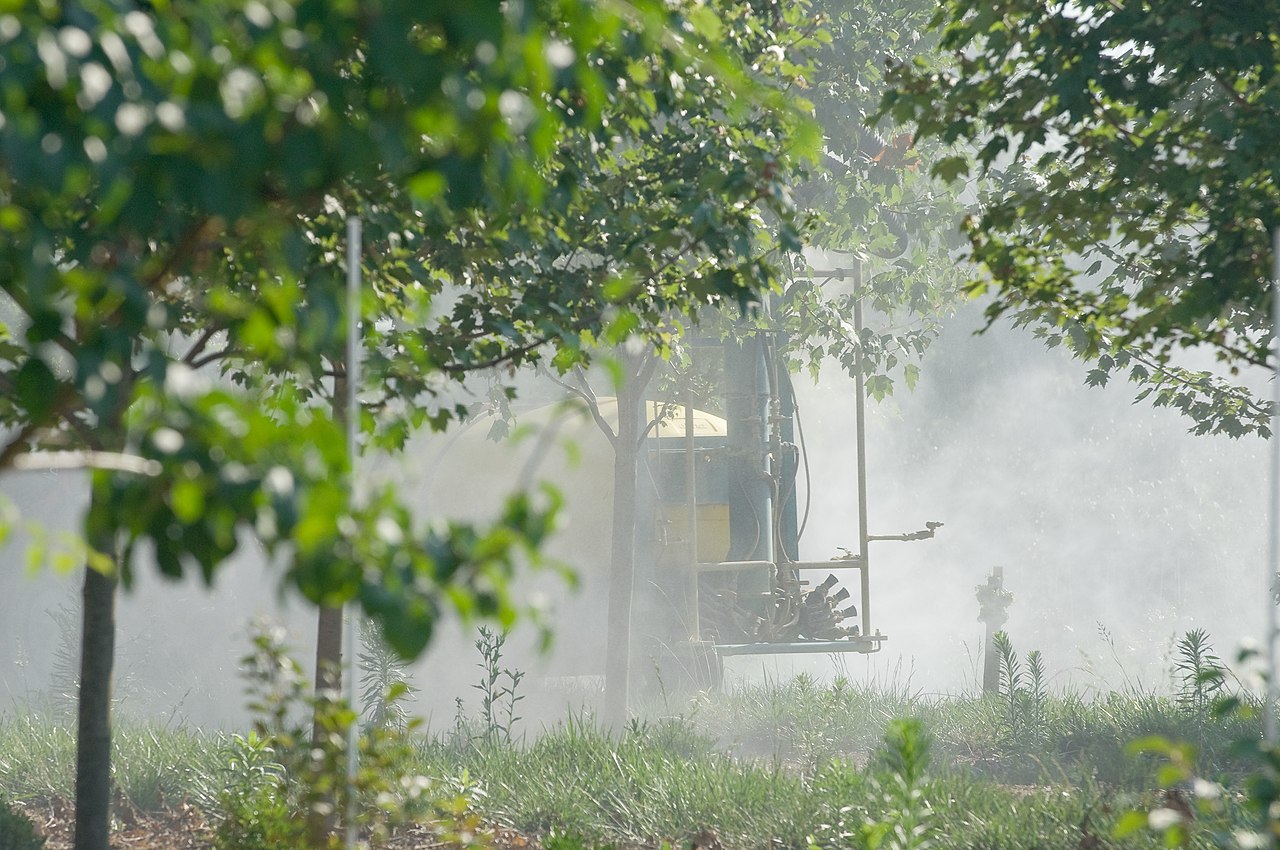 pulverización de plantación de avellano