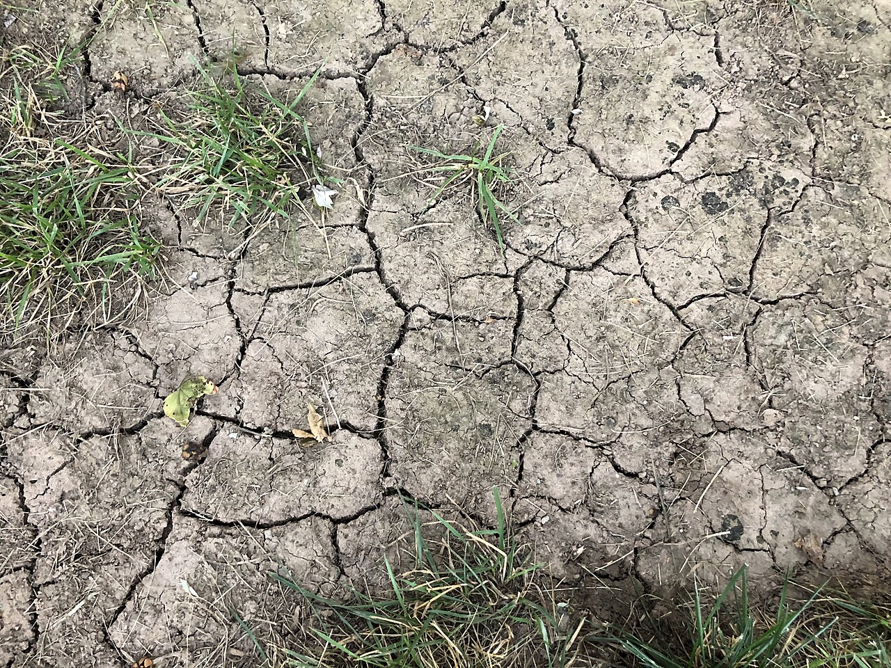 Suelo seco y agrietado tras un período prolongado de sequía