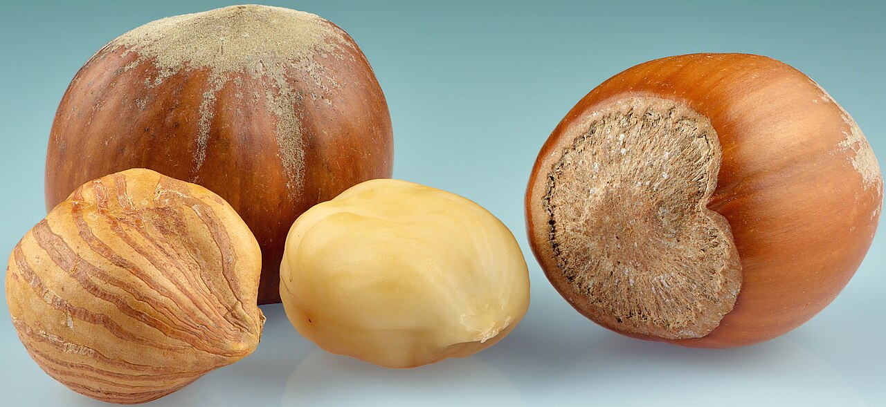 Avellanas en cáscara y nueces peladas