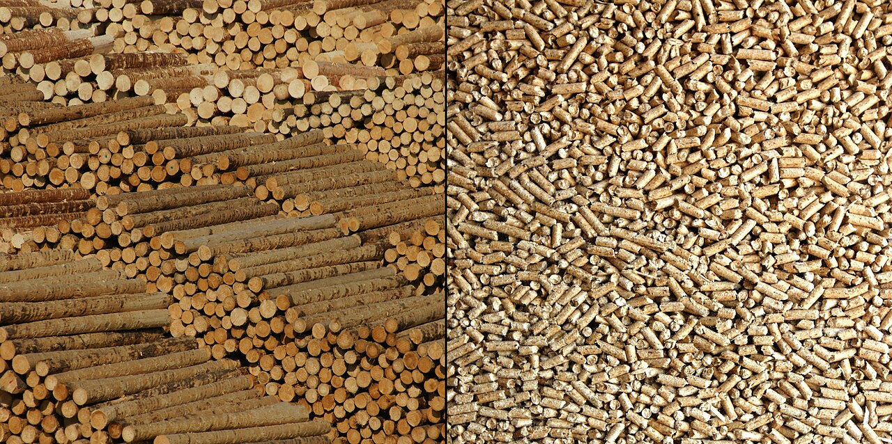 Pellets de madera — combustible densificado; la cáscara se peletiza como aditivo a otra biomasa