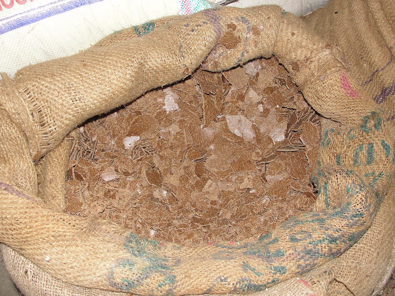Torta de aceite tras la prensado — residuo sólido rico en proteínas