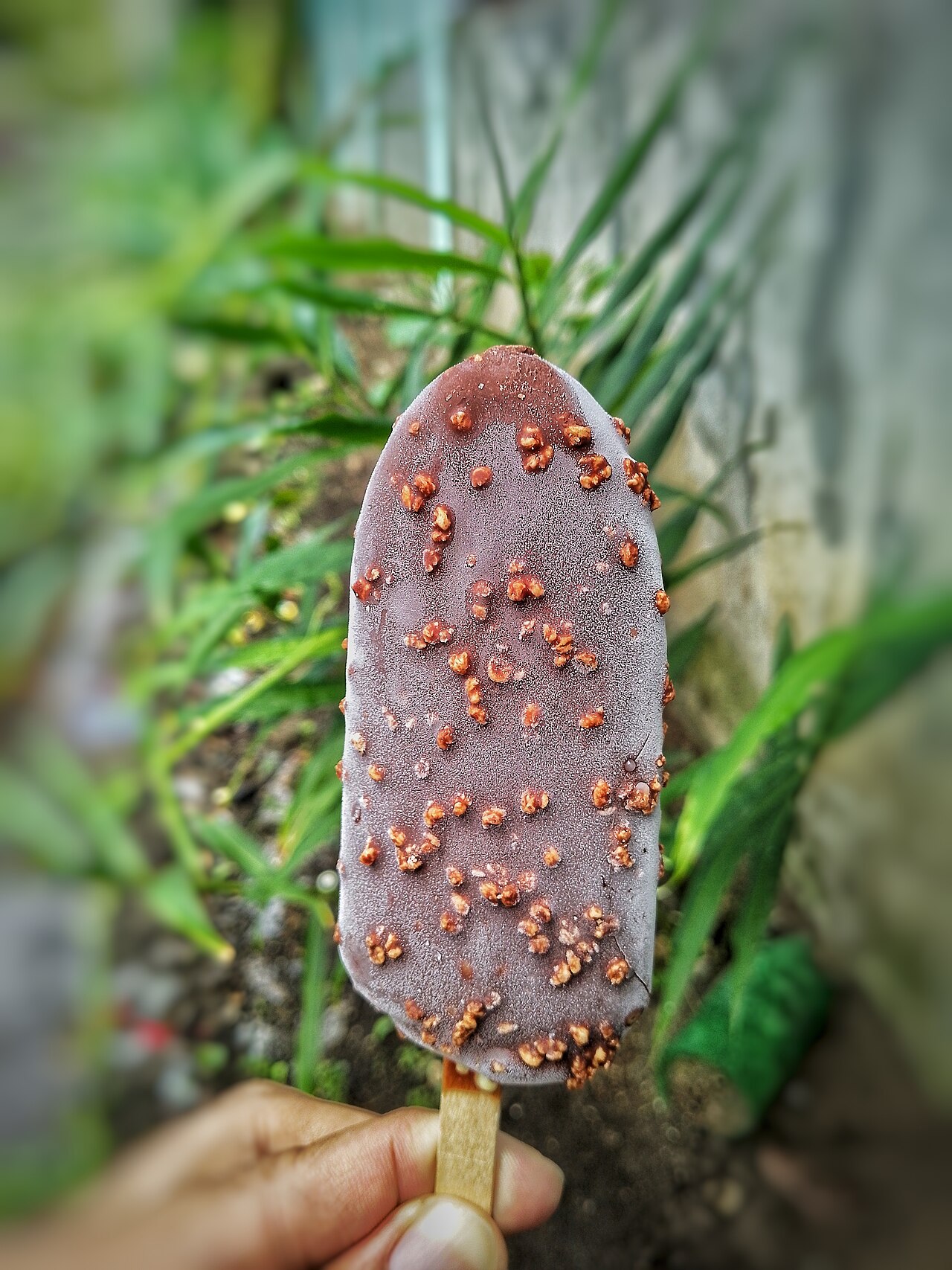 barra de helado de chocolate con avellana