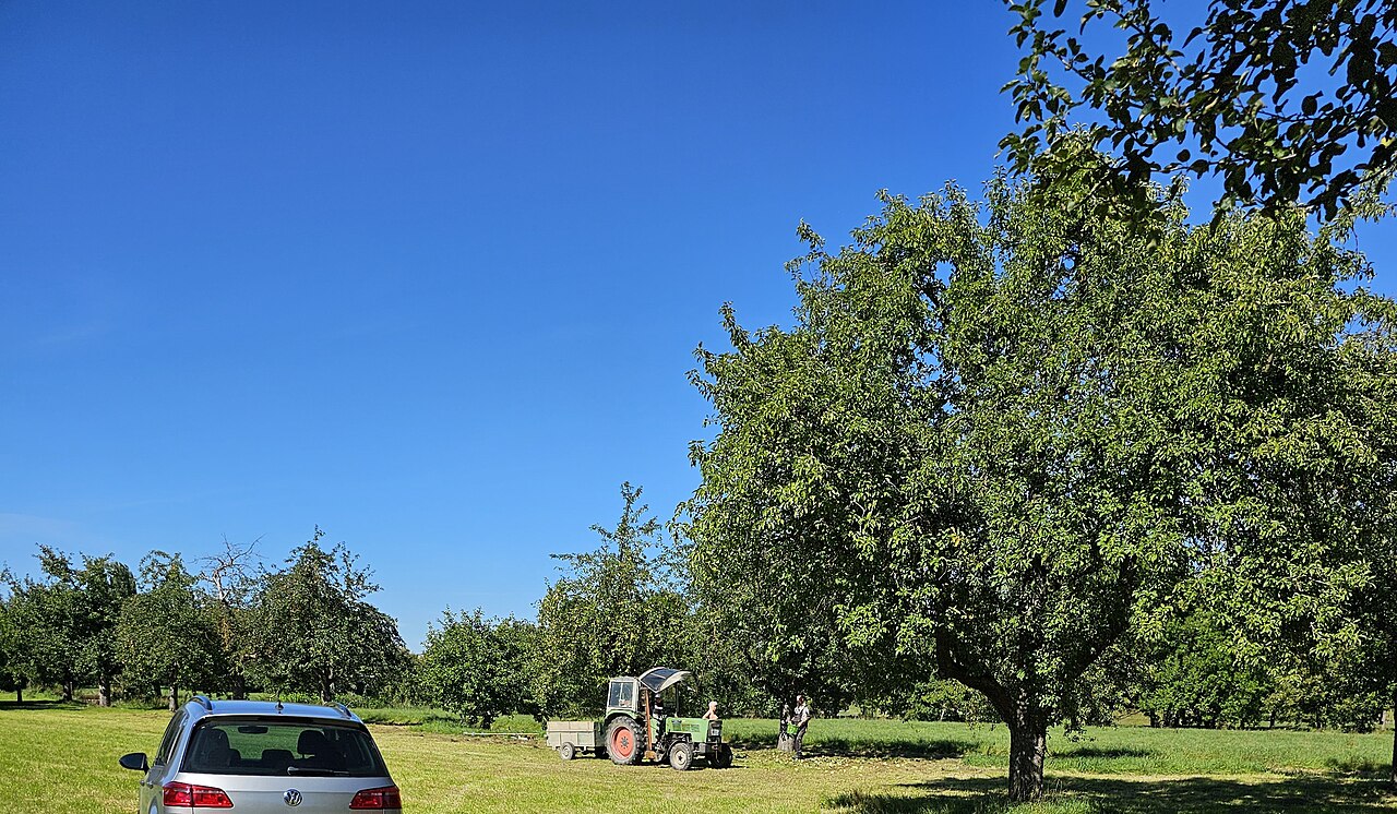 Máquina agrícola en trabajo, parte de la flota de la explotación