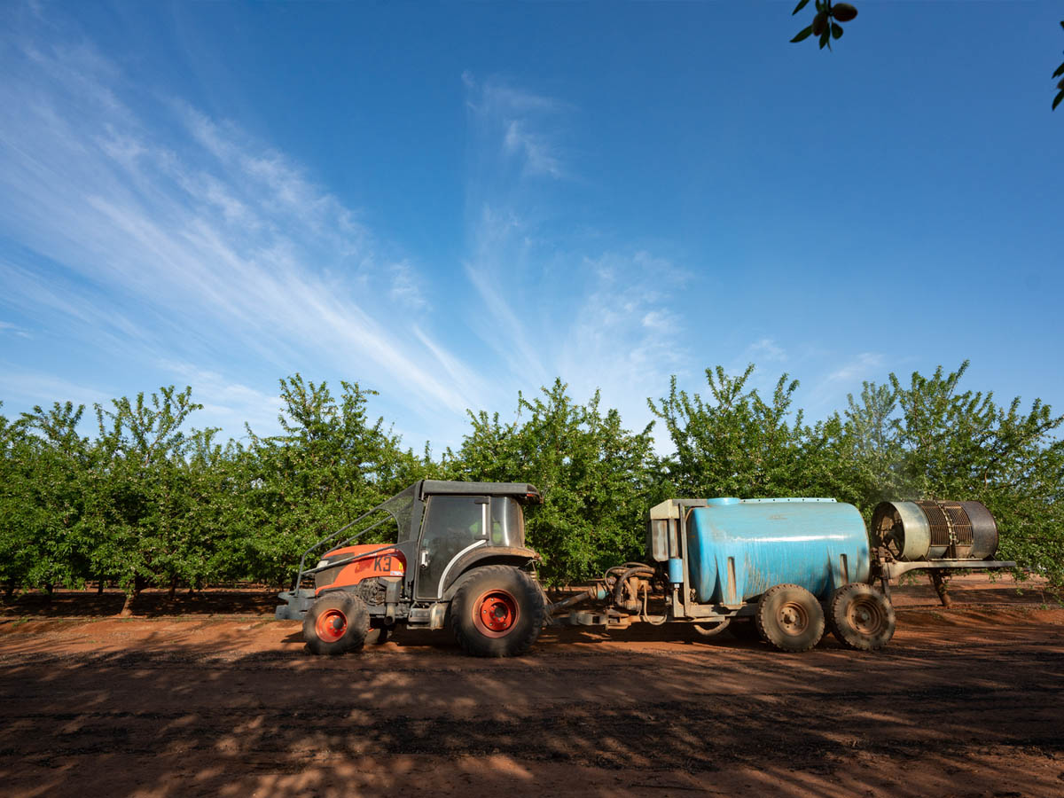 Tractor frutícola con atomizador conectado en la plantación, ejemplo de mecanización que se adquiere por crédito o leasing