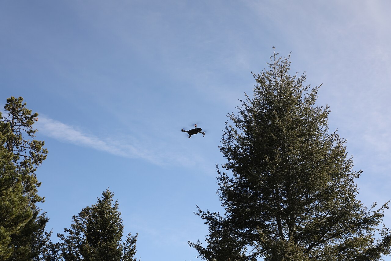 drone flying over trees