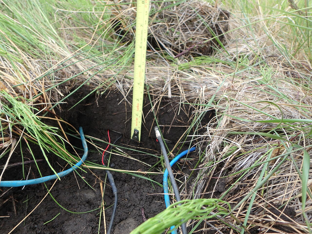 Instalación de un sensor de humedad en el suelo