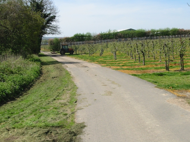Tractor con implemento trabajando en la plantación